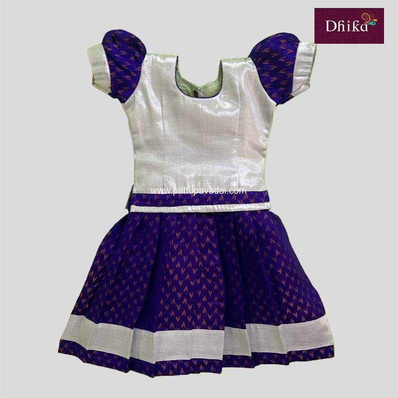 Blue and Silver Banarasi Skirt and Top